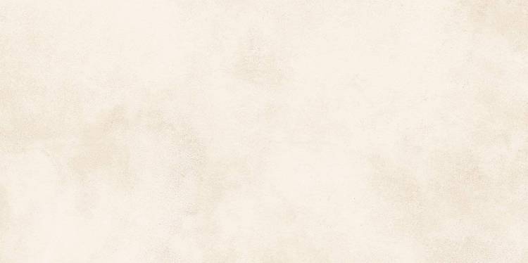 Керамическая плитка Alma Ceramica Richard TWU09RCD004 24.9x50