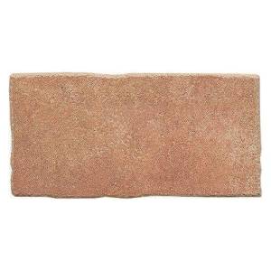 Керамогранит Domino Santa Fe TF43 Pav. Castanho 16.5x33