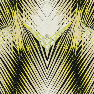 Обои Roberto Cavalli №6 17002