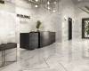 Керамогранит Dune Calacatta 188223 Superwhite Rec 60x120 фото 2