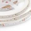 Светодиодная лента Apeyron 4,8W/m 60LED/m 3528SMD зеленый 5M 34BL фото 8