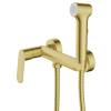 Гигиенический душ Azario Alanti AZ-K2532MG золото матовое