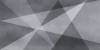 Керамическая плитка AltaCera Shape WT9SHG17 Geometry 24.9x50