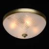 Потолочный светильник MW-Light Афродита 317015004 фото 5