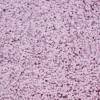 Коврик Wasserkraft Kammel BM-8304 light lilac фото 3
