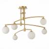 Потолочный светильник ST Luce Sembrare SL1208.302.06