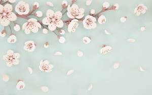 3D Фотообои Artegrafico «Сакура в саду» FANT-103 акварель