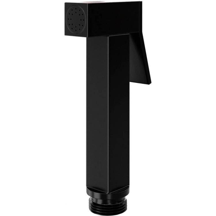 Гигиенический душ Wasserkraft Abens 2000 A212