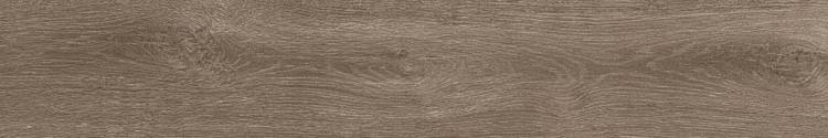 Керамогранит Atlas Concorde Russia Fusion Oak 610010003132 Rustic Rett / Фьюжн Оак Рустик Рет 20x120