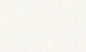 Обои Ateliero Polet 283731