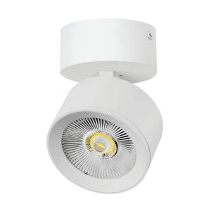 Накладной светодиодный спот Lightstar Alta Pro A5536SO