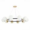 Подвесная люстра Evoluce Forli SLE220403-10 фото 2