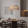 Подвесной светильник Freya Modern FR5535PL-L14B фото 2