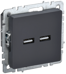 Розетка USB type A+A IEK Brite BR-U21-D31-K53 графит