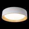 Потолочный светодиодный светильник Loft IT Coin 10202 White фото 3