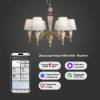 Подвесная люстра Eurosvet Teja 101014/6 латунь Smart фото 4
