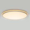 Светильник с пультом Citilux Norma CL749600 LED RGB фото 9