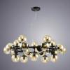 Подвесная люстра Arte Lamp 1664 A1664SP-25BK фото 3