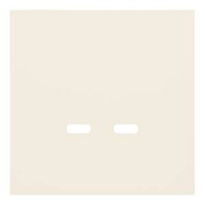 Лицевая панель для розетки USB C/C Rikett 35675 MC кремовый сатин