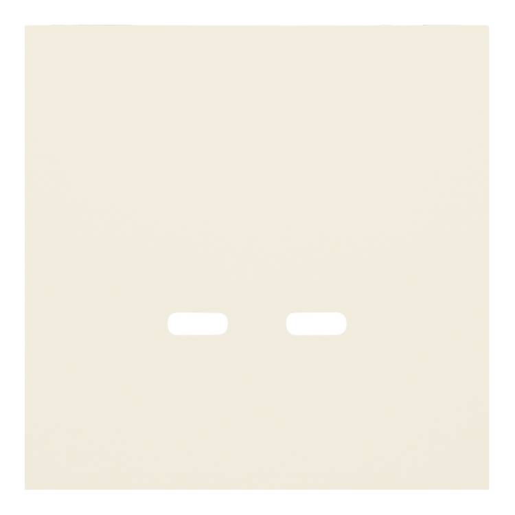 Лицевая панель для розетки USB C/C Rikett 35675 MC кремовый сатин