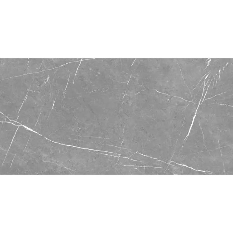 Керамогранит Eternal Alcora Gris ETSTN1203MT60120 Matt 60x120