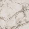 Керамогранит Ariana Epoque PF60004312 White Lap 60x60