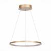 Подвесной светодиодный светильник ST Luce IN ST603.243.22 фото 2