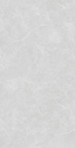 Керамогранит Arcadia Ceramica Oviedo SL1003-A Silver Solido 60x120