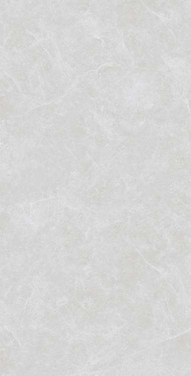 Керамогранит Arcadia Ceramica Oviedo SL1003-A Silver Solido 60x120