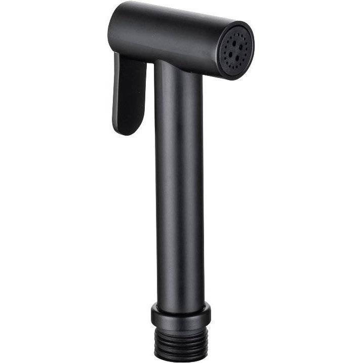 Гигиенический душ Allen Brau Priority 5.31028-31 черный матовый