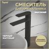 Смеситель для раковины Teymi Ellie T10210 высокий, черный матовый