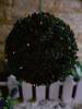 Подвесной светильник Uniel USL-S-141/PT280 Garden Star фото 5