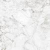 Керамогранит Absolut Gres Rossalia Natural AB1208G Gloss 600x600 фото 4