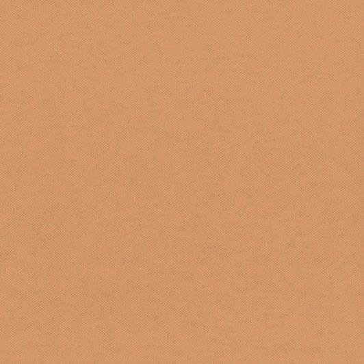 Обои флизелиновые Aura Plain Resource Vol 2 B1180303