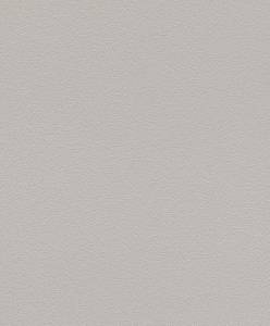 Обои Rasch Kids&Teens III 700350