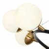 Подвесная люстра Evoluce Forli SLE220403-10 фото 4