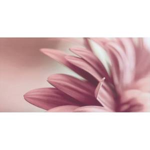 Декор Paradyz Sorenta Bianco Durst Kwiaty A 30x60