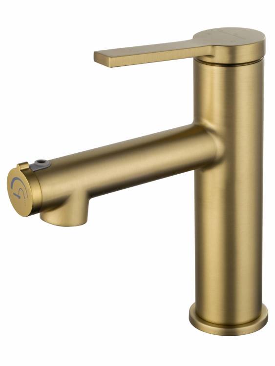 Смеситель для раковины Wonzon & Woghand WW-H1017-BG с функцией полоскания, брашированное золото