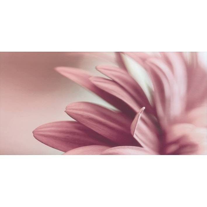 Декор Paradyz Sorenta Bianco Durst Kwiaty A 30x60