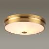 Настенно-потолочный светильник Odeon Light Walli Marsei 4824/4C фото 3