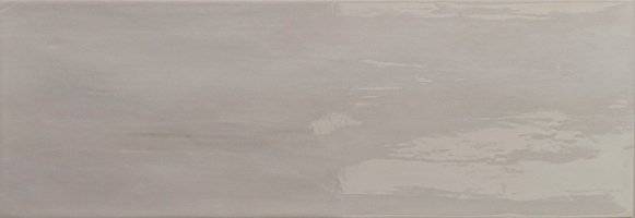 Керамическая плитка Roca Arlette Gris 21.4x61