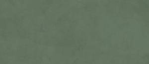 Керамогранит Creto Spectra MPL-060348 Scs Herbs Gv 120х278