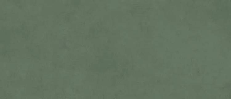 Керамогранит Creto Spectra MPL-060348 Scs Herbs Gv 120х278