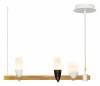 Потолочный светильник Loft IT Whisper 1028-3WH