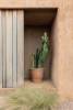 Керамогранит Casa Dolce Casa Sensi Terre 787113 Sabbia Brick Matte 5.7x23.2 фото 47