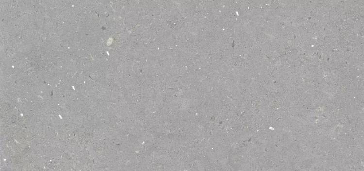 Керамогранит Creto Fossil MPL-061843 Stx Grey 59.8х119.8