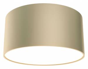 Потолочный светильник Maytoni Technical Zon C032CL-12W4K-RD-MG