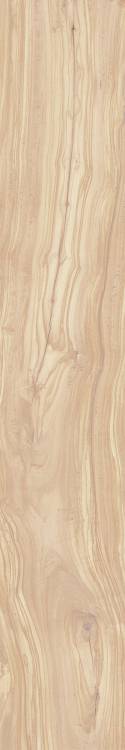 Керамогранит Arcadia Ceramica Persian Wood CW-CR02-B Ivory CR 20x120