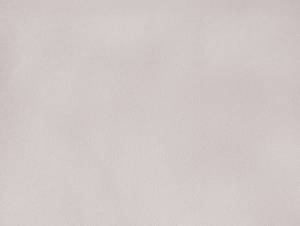 Обои Elysium Фокс Е203701