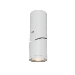 Потолочный светильник Technical Tube C019CW-01W